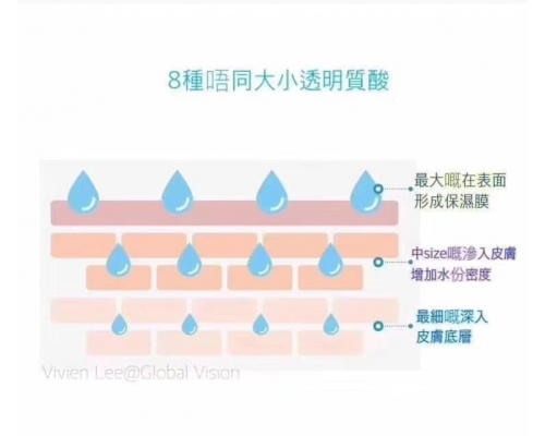 Nuskin 高光霜 平滑霜 24K金黃金底妝精華